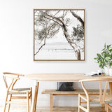 Tea Tree Bay (Square) Photo Canvas  Print