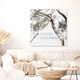 Tea Tree Bay (Square) Photo Canvas  Print