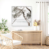 Tea Tree Bay (Square) Photo Canvas  Print