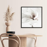 White Magnolia (Square) Photo Art Print