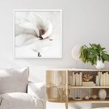 White Magnolia (Square) Photo Art Print
