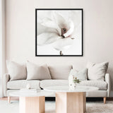 White Magnolia (Square) Photo Canvas  Print