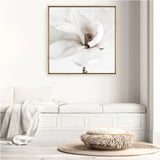White Magnolia (Square) Photo Canvas