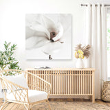 White Magnolia (Square) Photo Canvas  Print