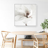White Magnolia (Square) Photo Canvas  Print