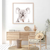 Koala (Square) Photo Art Print