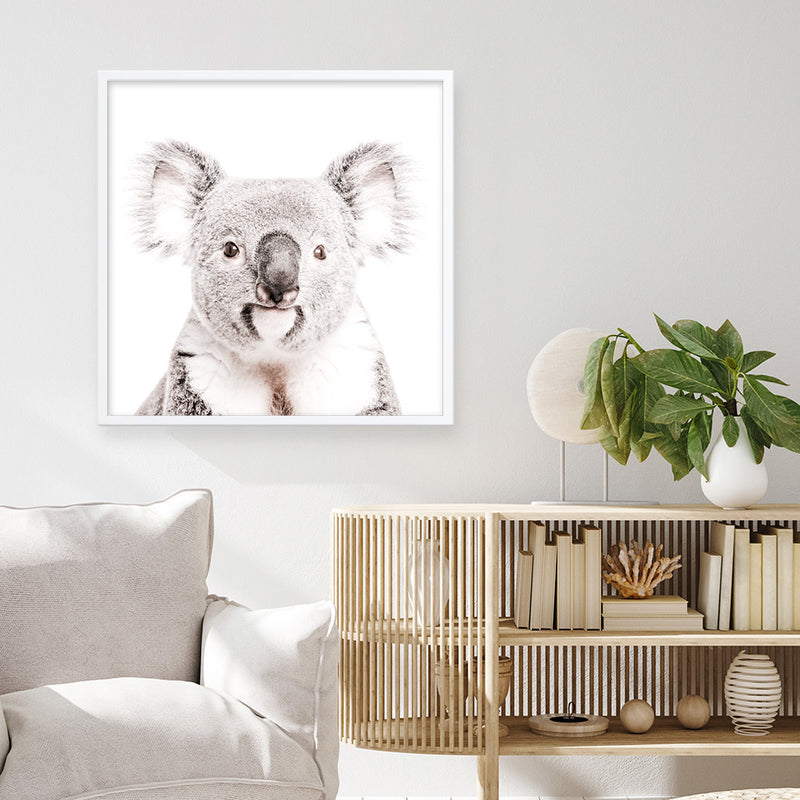 Koala (Square) Photo Art Print