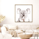 Koala (Square) Photo Canvas  Print