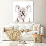 Koala (Square) Photo Canvas  Print