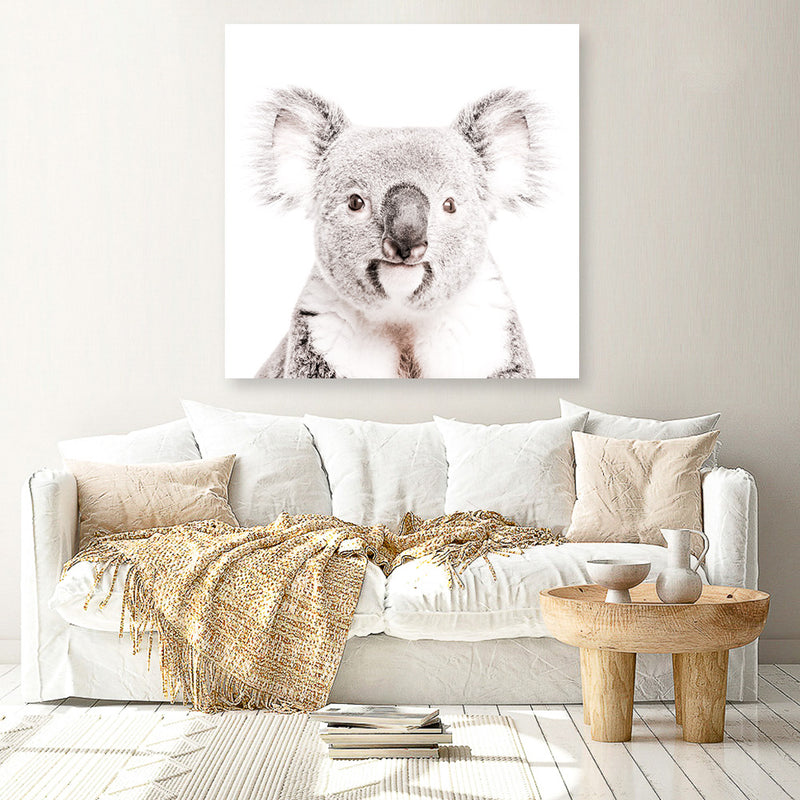 Koala (Square) Photo Canvas