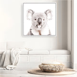 Koala (Square) Photo Canvas  Print