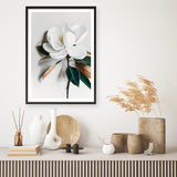 White Magnolia I Art Print