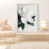 White Magnolia II Art Print