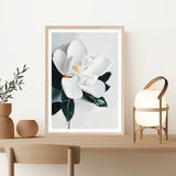White Magnolia II Art Print
