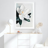 White Magnolia II Art Print