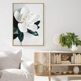 White Magnolia II Canvas Print