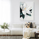 White Magnolia II Canvas Print