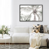 Tropical Palms Photo Art Print
