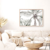 Tropical Palms Photo Art Print