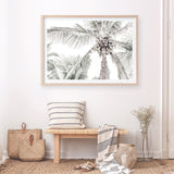 Tropical Palms Photo Art Print