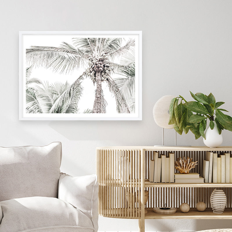 Tropical Palms Photo Art Print