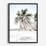 Palm Shadow Photo Canvas Print