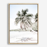 Palm Shadow Photo Canvas Print