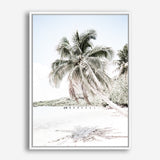 Palm Shadow Photo Canvas Print