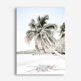 Palm Shadow Photo Canvas Print