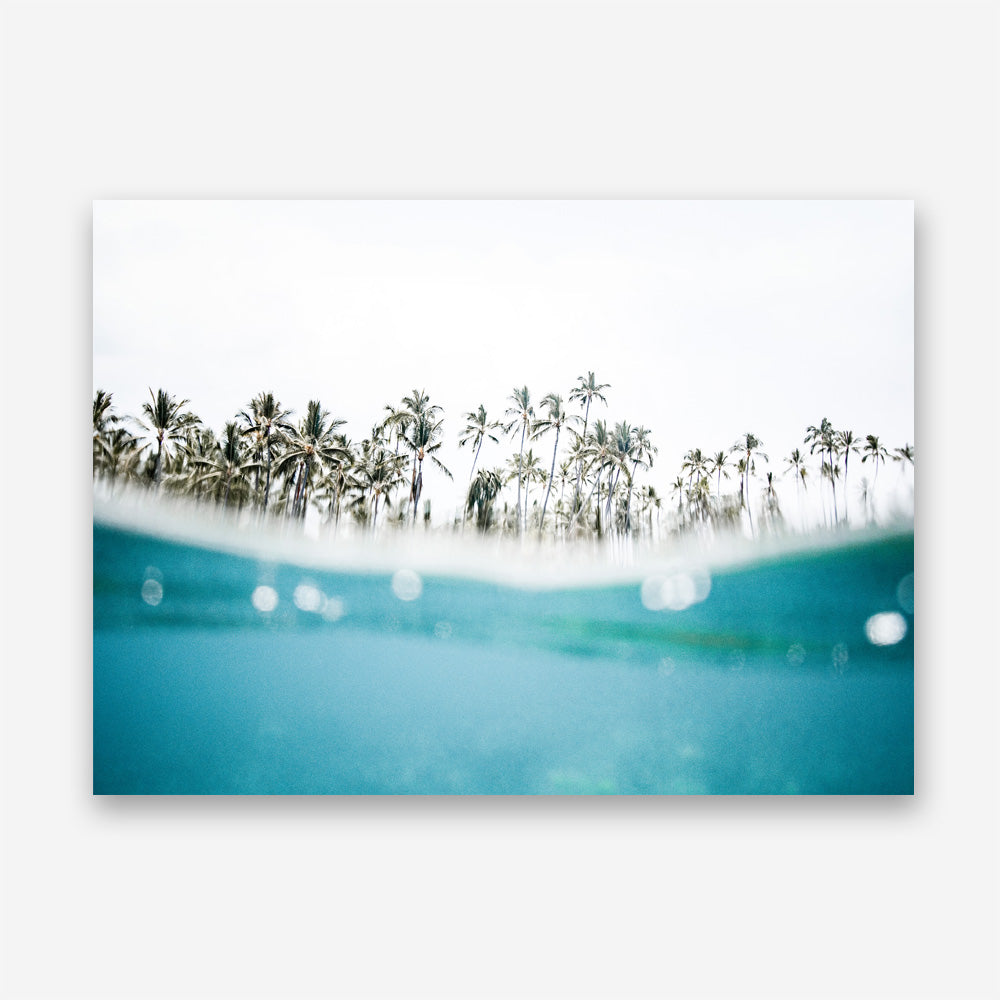 Palm Oasis Photo Canvas Print