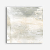 Toned Texture IV (Square) Canvas Print