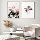 Waratah Flowers II Photo Art Print